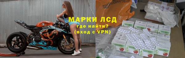 гашик Майский