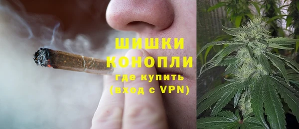 гашик Майский