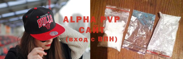 гашик Майский