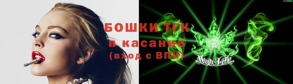 прущие крисы Магас