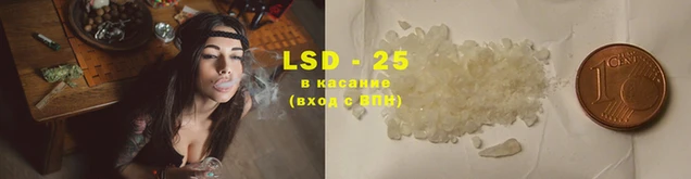 прущие крисы Магас