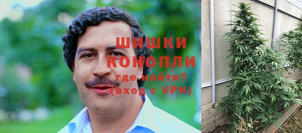 прущие крисы Магадан