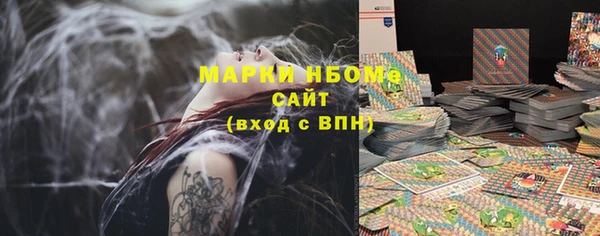 гашик Майский