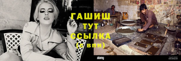 гашик Майский