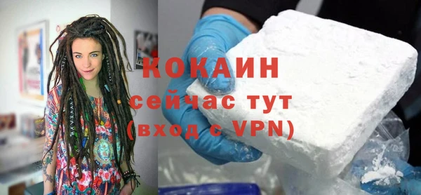 гашик Майский
