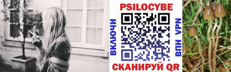 Псилоцибиновые грибы MAGIC MUSHROOMS  что такое наркотик  Шатура 