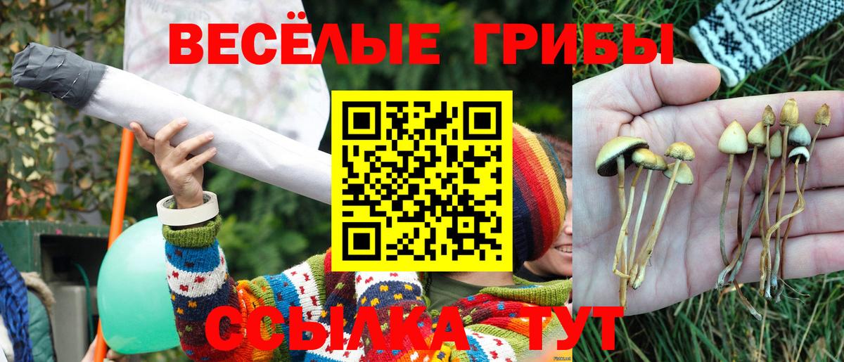 Псилоцибиновые грибы мухоморы  дарнет шоп  Шатура 