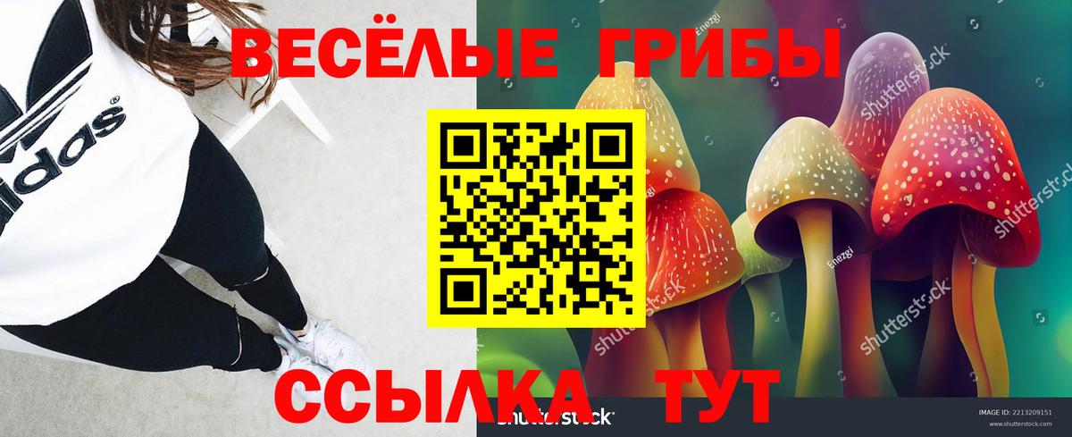 Галлюциногенные грибы Psilocybine cubensis Шатура