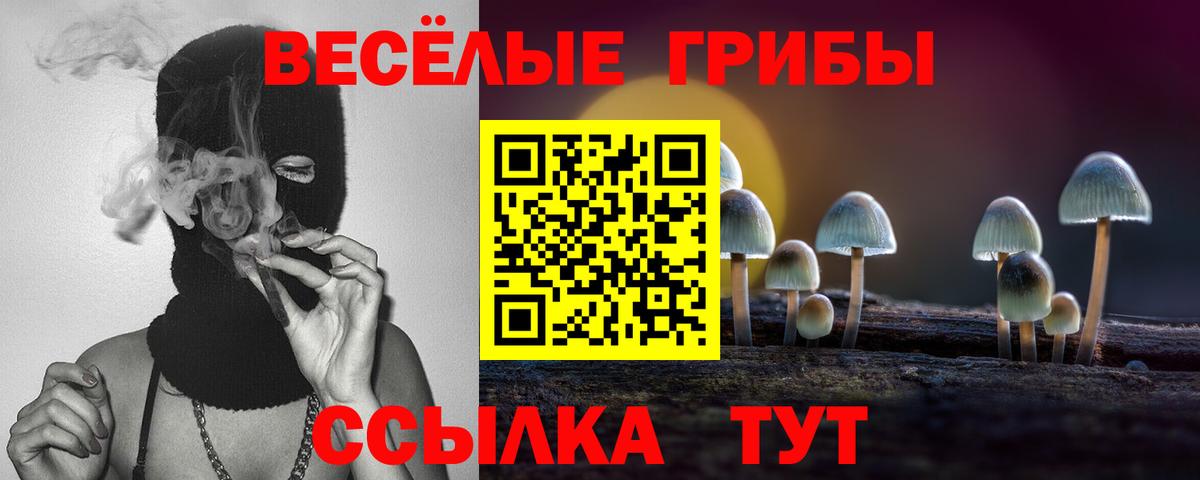 Галлюциногенные грибы Psilocybe  Вход с VPN  Шатура 