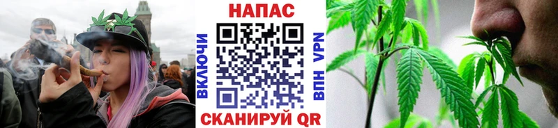 Бошки Шишки конопля  Шатура 