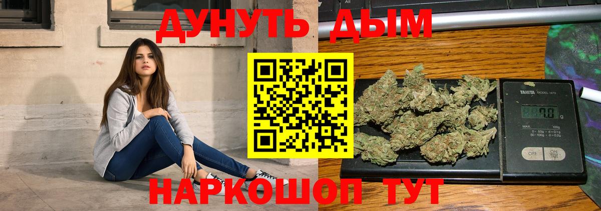 Шатура  Бошки марихуана сатива  Марихуана сатива  Вход с VPN 